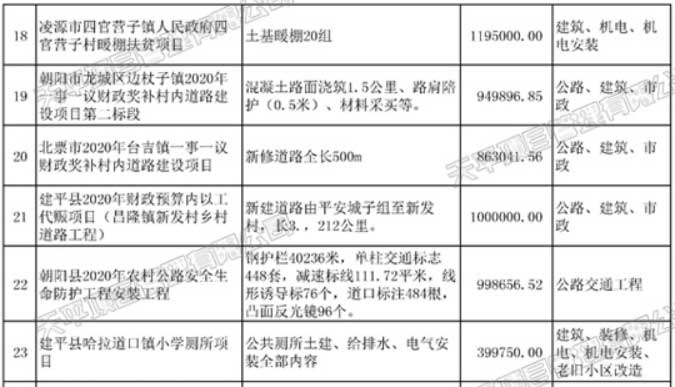 2020年天平项目管理有限公司代表业绩一览表